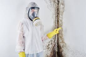 Best Mold Remediation for Healthcare Facilities  in Desert Aire, WA